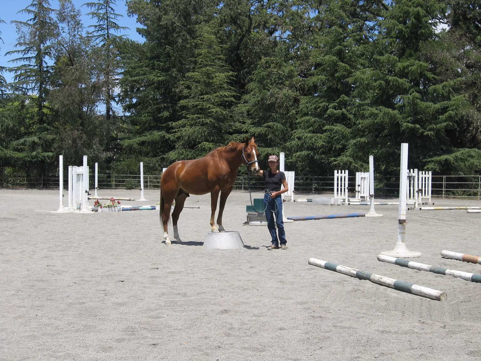 Around the Ranch Chalk Hill Ranch