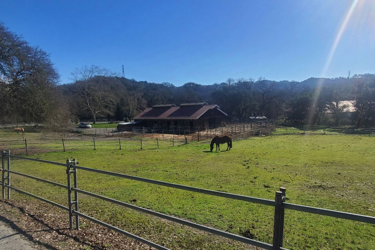 Home Page Chalk Hill Ranch